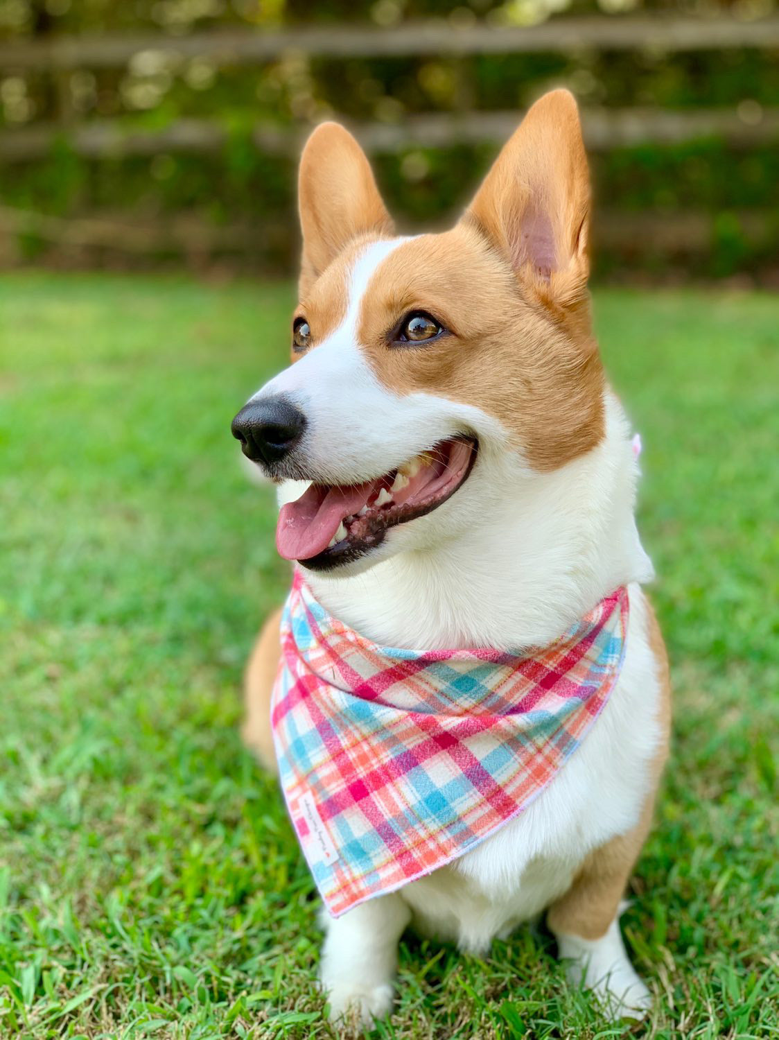 Pink & Blue Plaid Luxe Flannel Dog Bandana