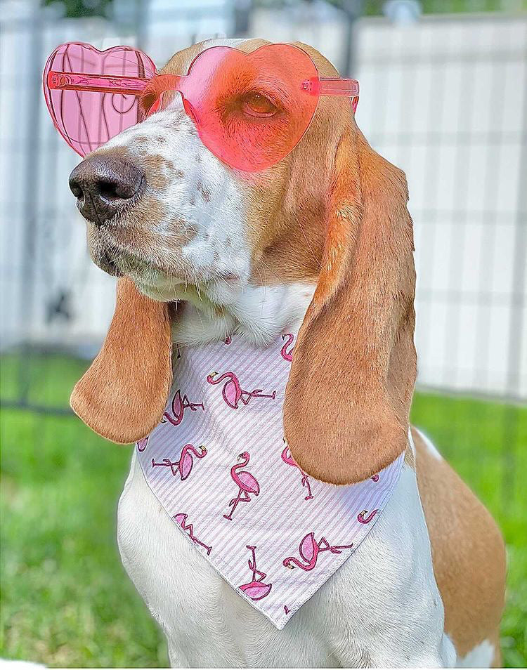 Pink Flamingo Dog Bandana