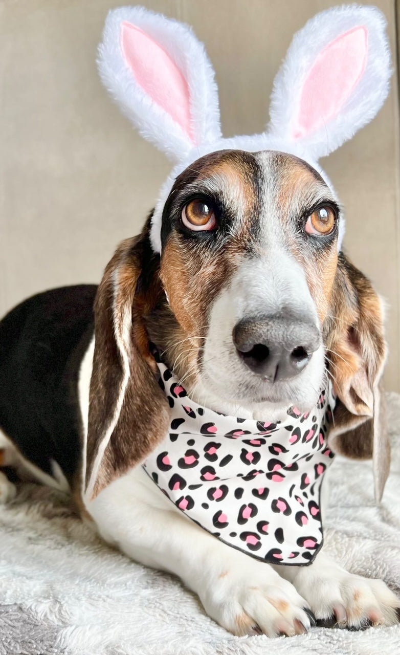 Pink Leopard Print Bandana
