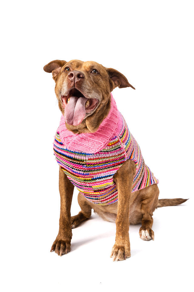 Chilly Dog Pink Multi Wool Dog Sweater