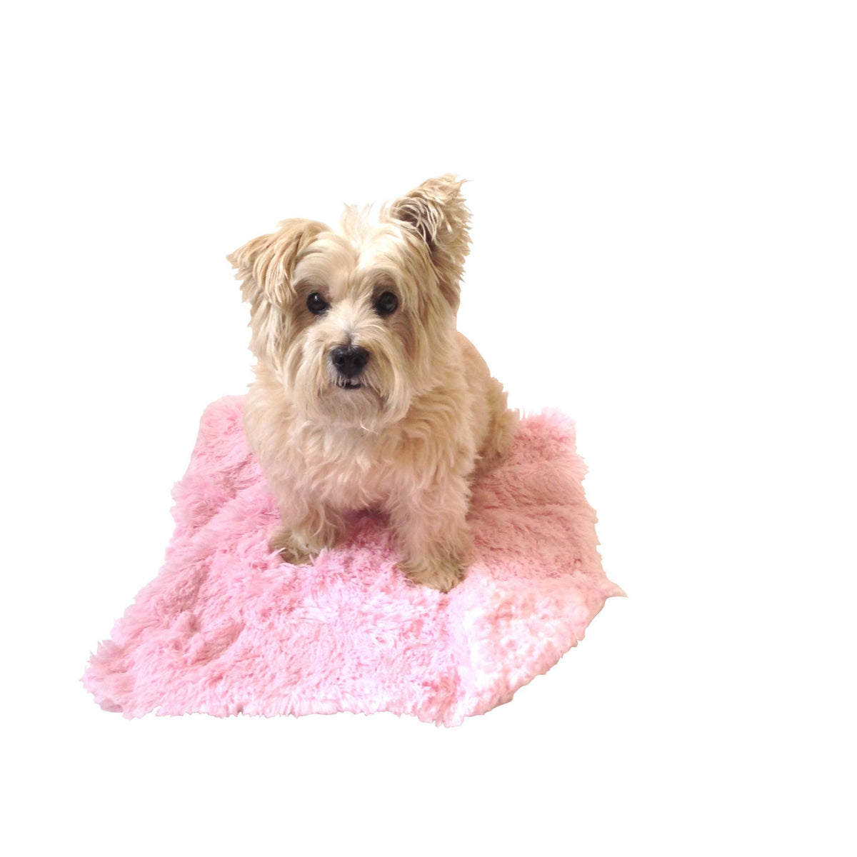 Carrier Square Blanket, Powder Puff in Pale Pink