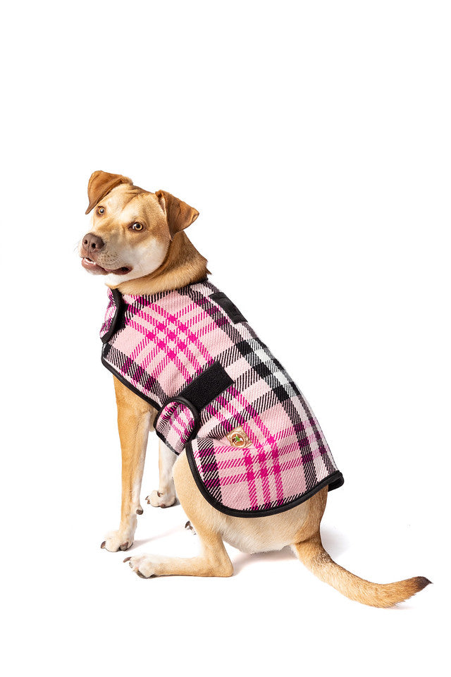 Chilly Dog Pink Plaid Wool Blanket Dog Coat