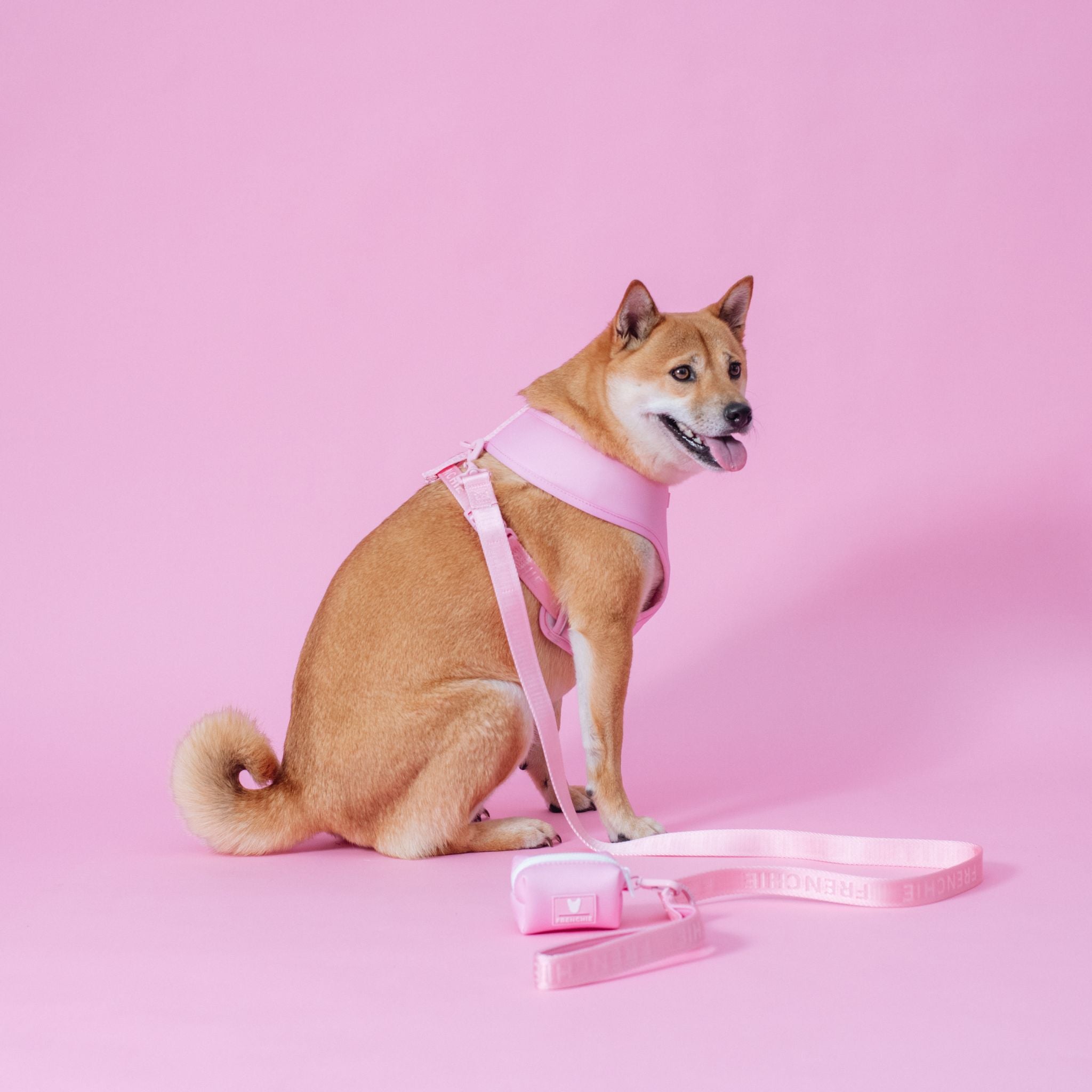 Frenchie Comfort Leash - Pink Bubblegum