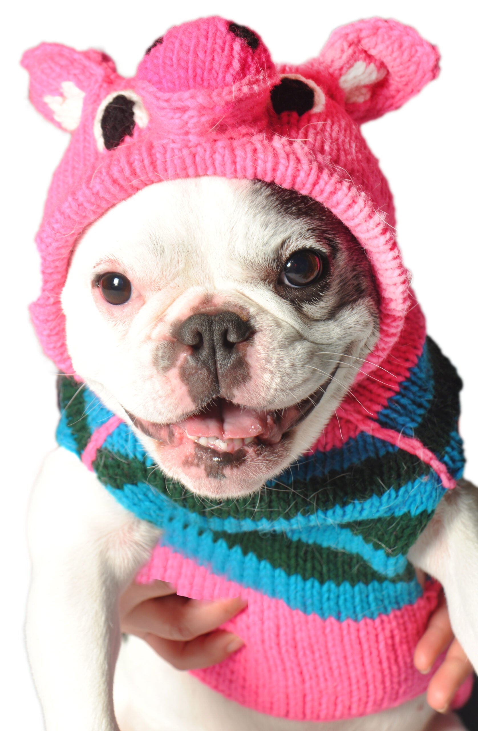 Chilly Dog Pink Piggy Hoodie Dog Sweater