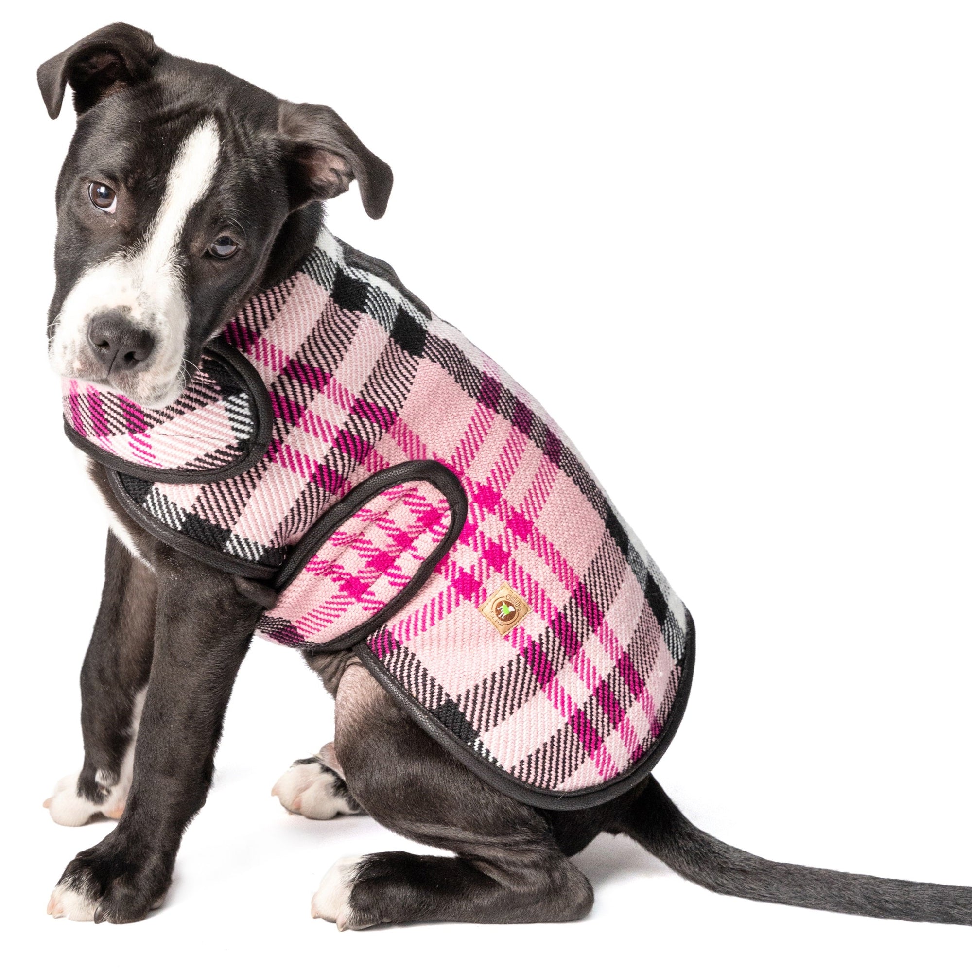 Chilly Dog Pink Plaid Wool Blanket Dog Coat