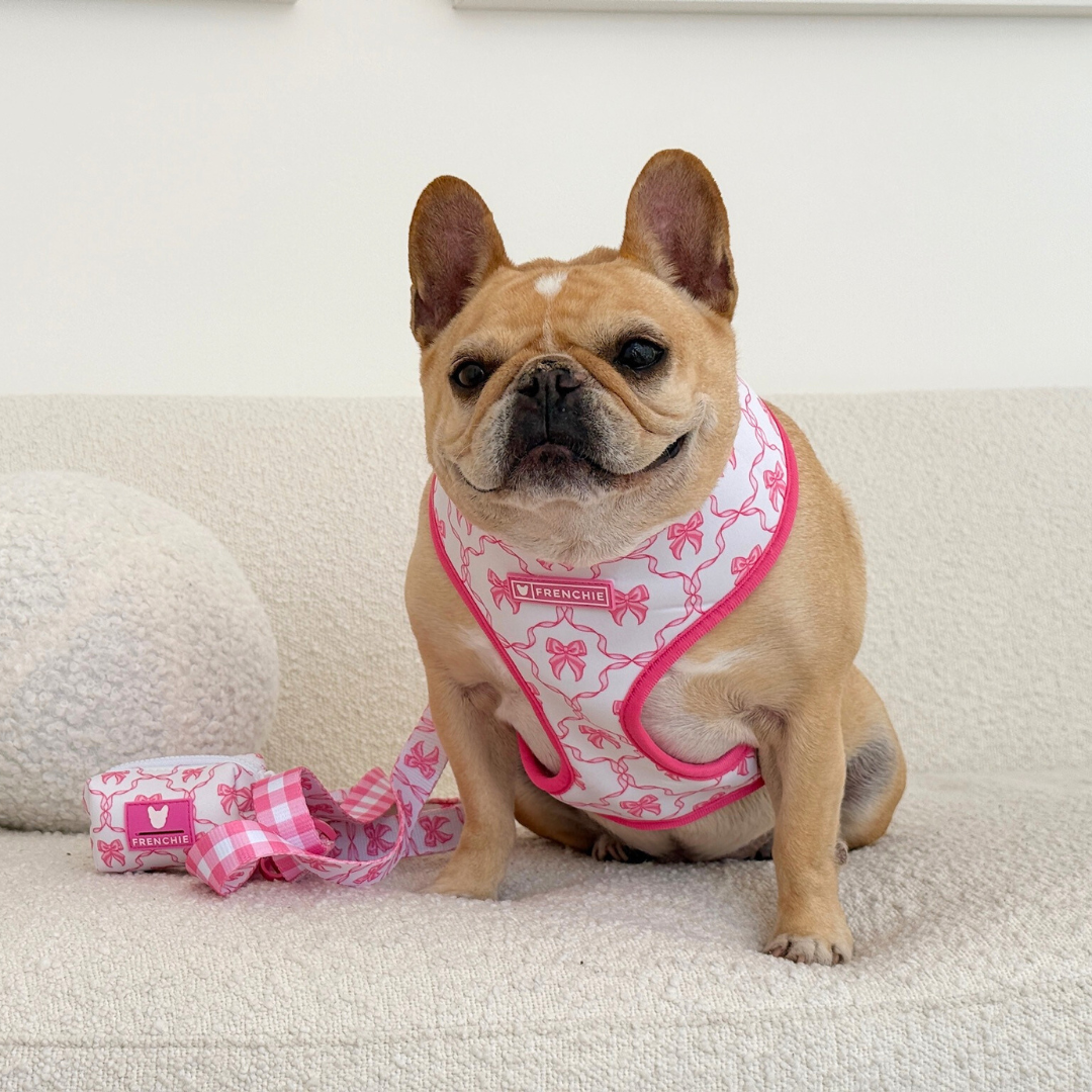Frenchie Poo Bag Holder - Pink Bows