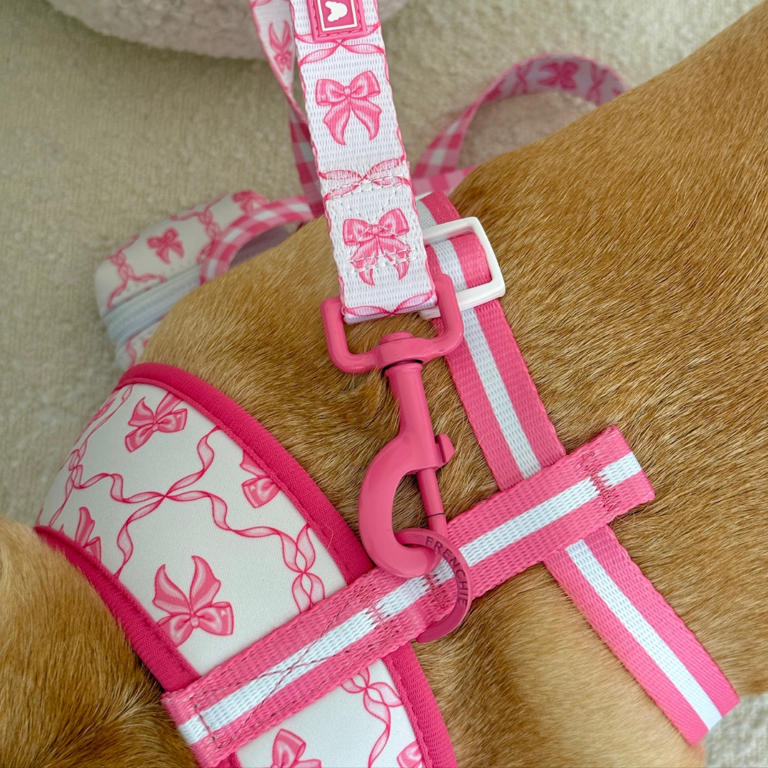 Frenchie Duo Reversible Harness - Pink Bows
