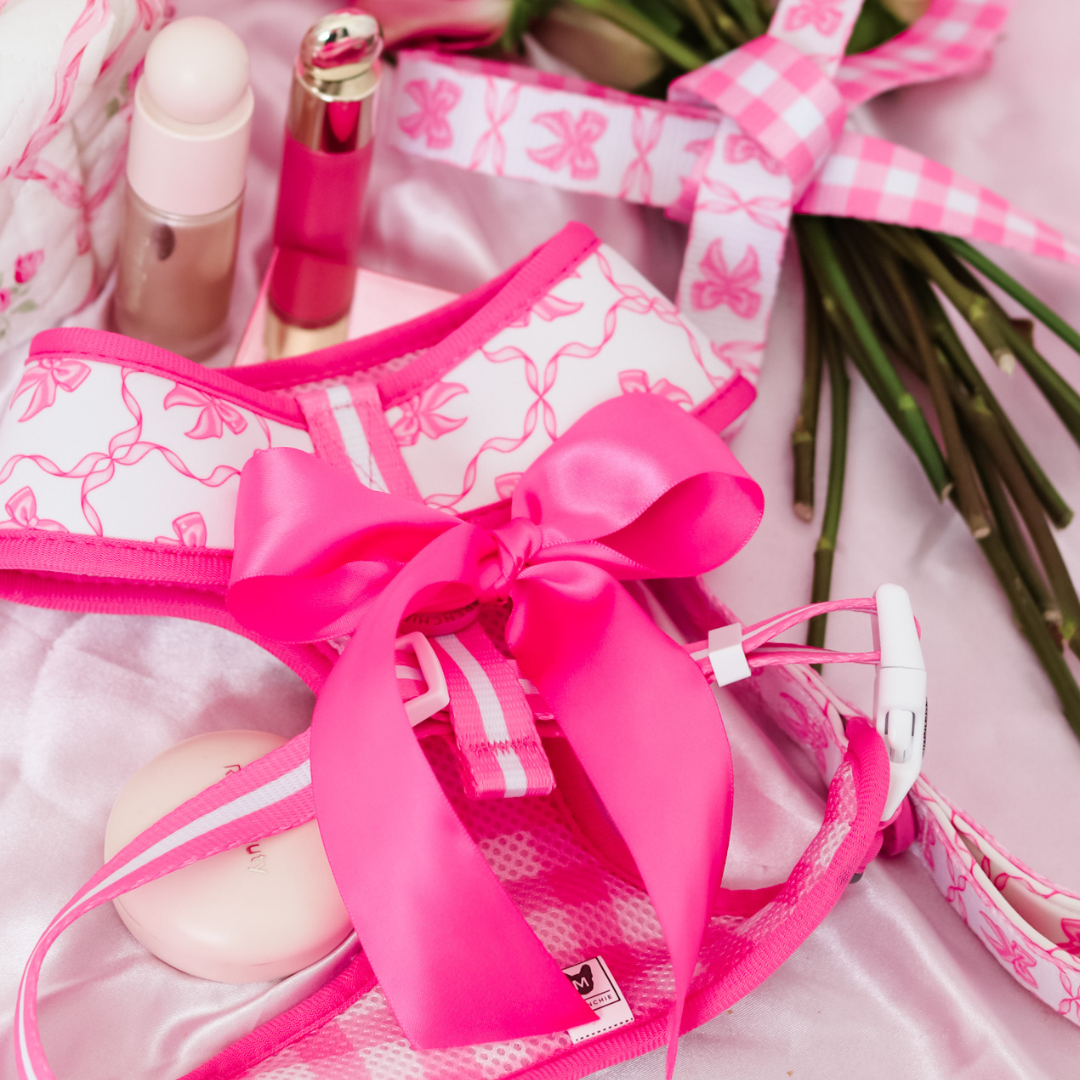 Frenchie Duo Reversible Harness - Pink Bows