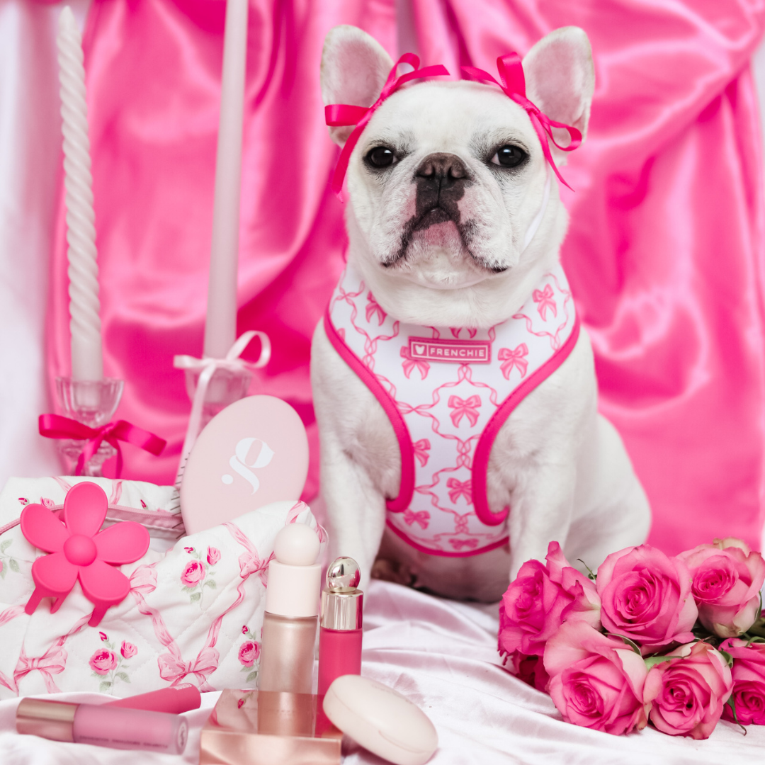 Frenchie Duo Reversible Harness - Pink Bows