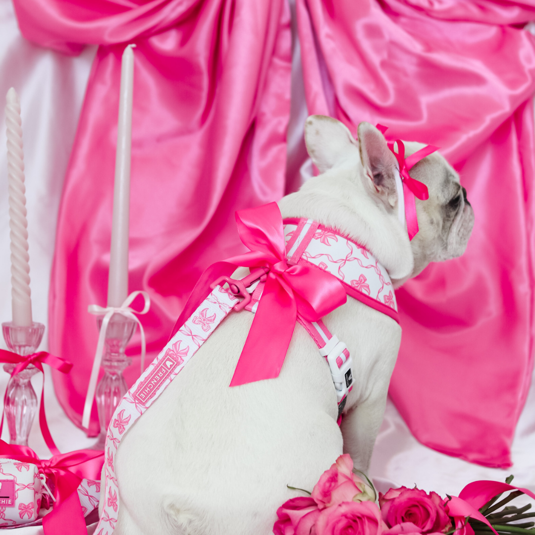 Frenchie Duo Reversible Harness - Pink Bows