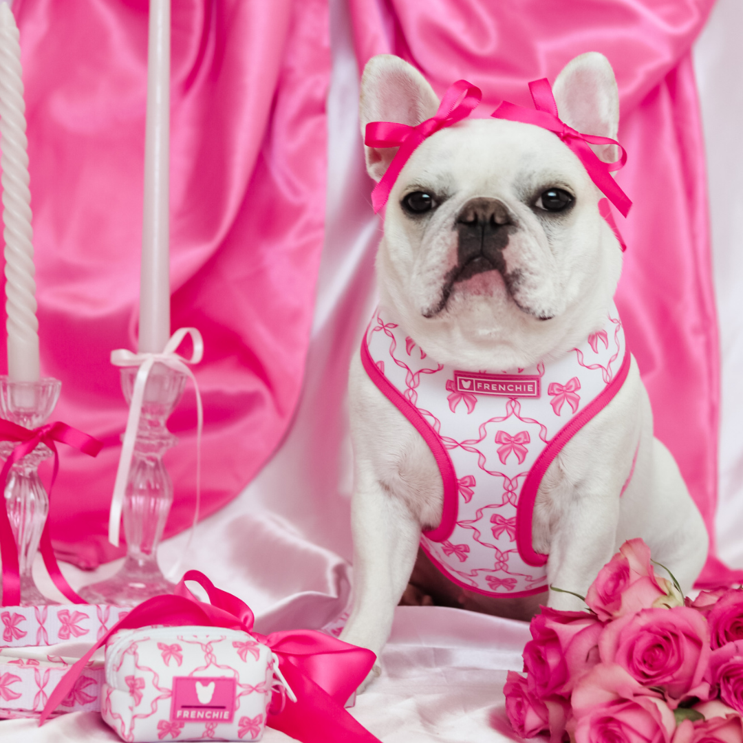 Frenchie Duo Reversible Harness - Pink Bows