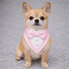 Heads or Tails Pup Pink Ceremony Tuxedo Dog Bandana