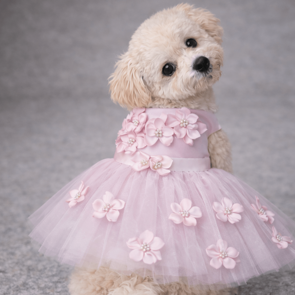 Heads or Tails Pup Pink Ceremony Dog Dress