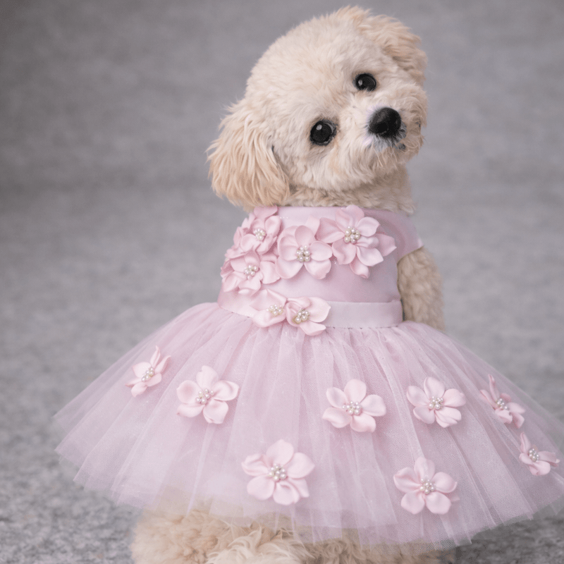 Pink Ceremony Dress
