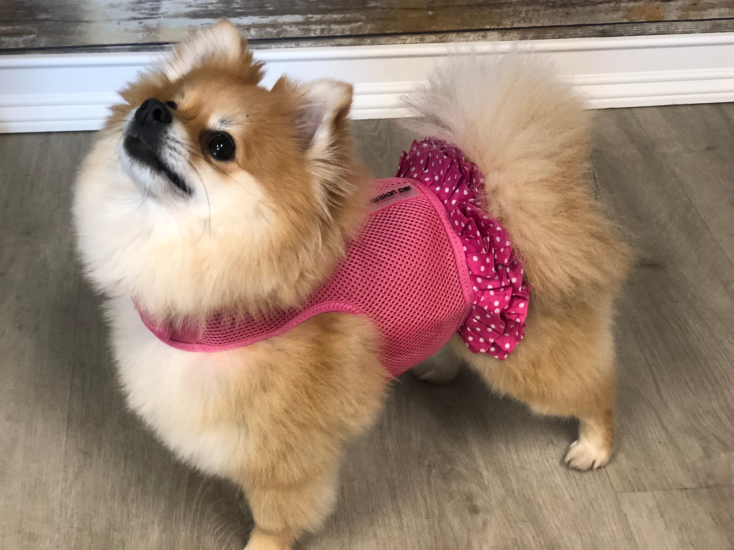 Parisian Pet Polka Dot Harness Dress for Dogs & Cats  Fashionable Pet Dress with Adjustable Harness, Comfortable Fit, Pink