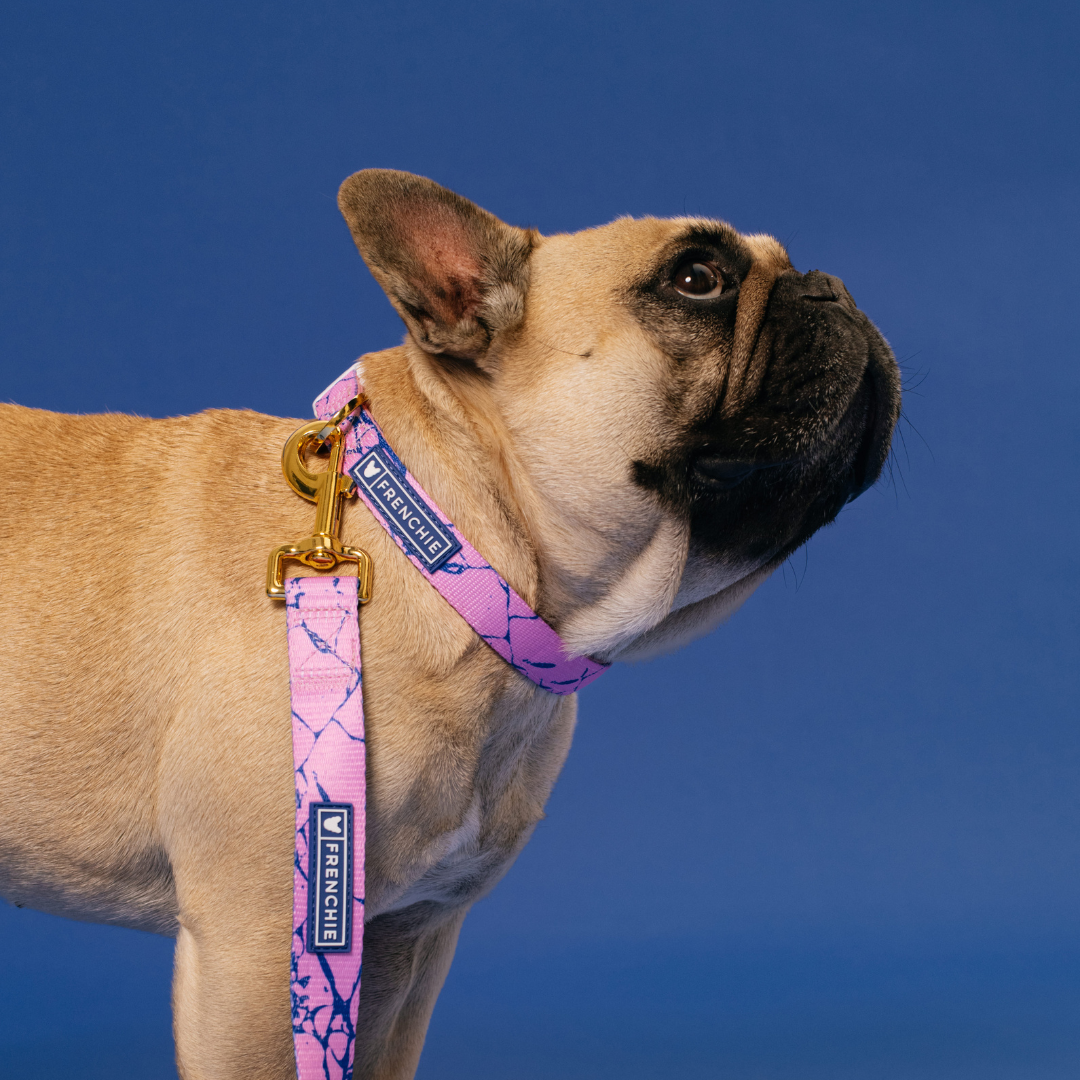 Frenchie Comfort Collar - Pink Marble