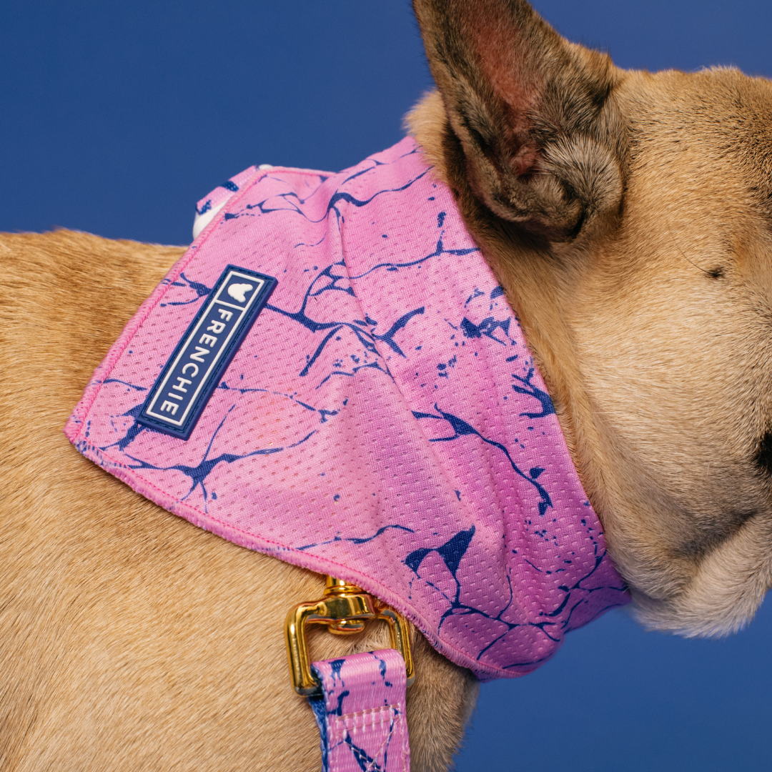 Frenchie Cooling Bandana - Pink Marble