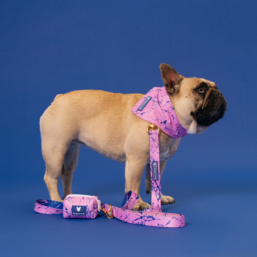 Frenchie Comfort Leash - Pink Marble