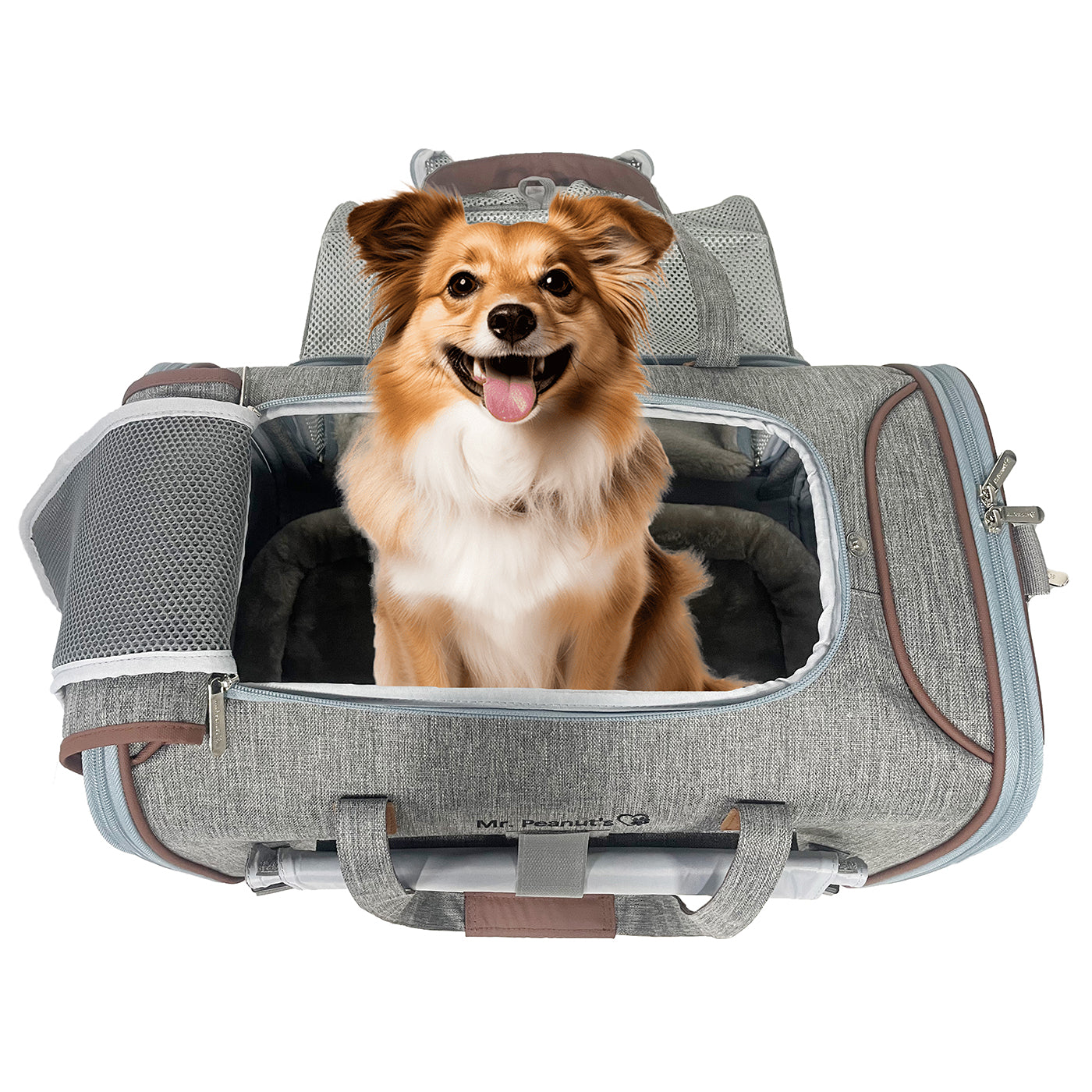 Mr. Peanuts Gold Series Big Apple XL Size Airline Compliant Expandable Pet Carrier