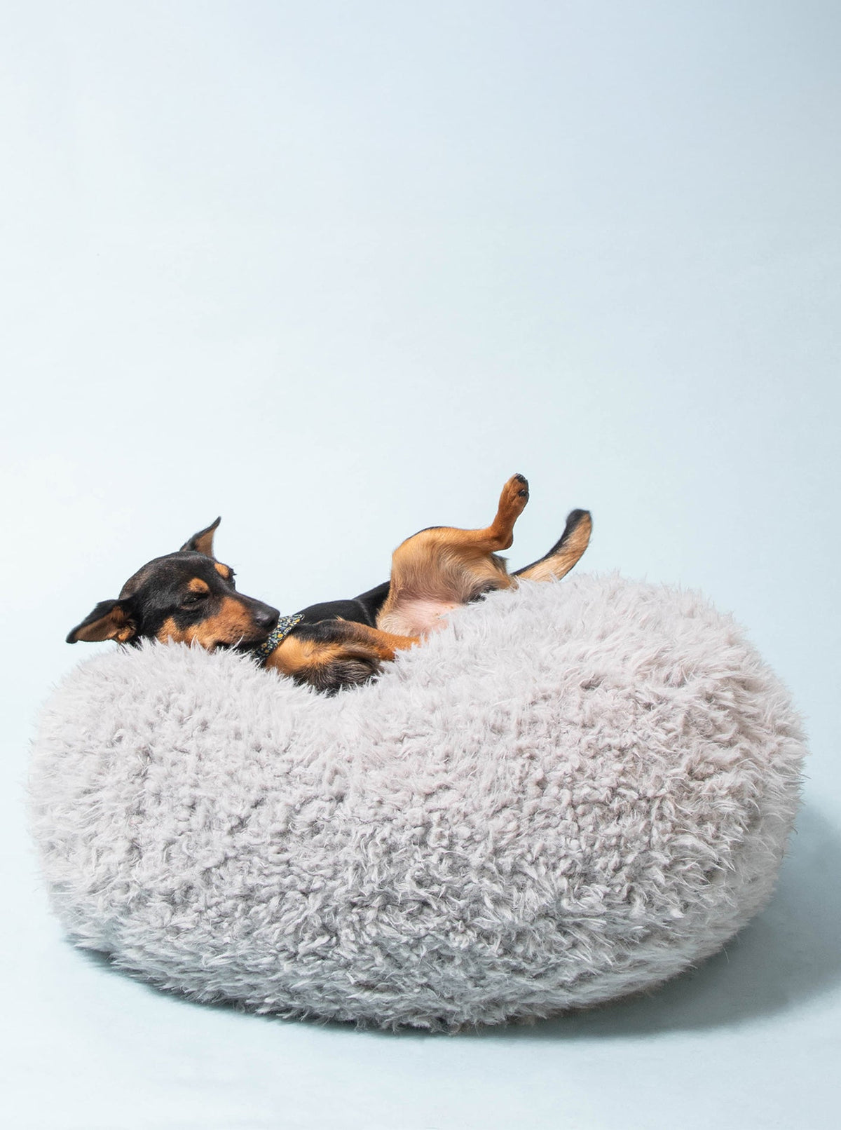 Pod Dog Bed - HT Animal Supply