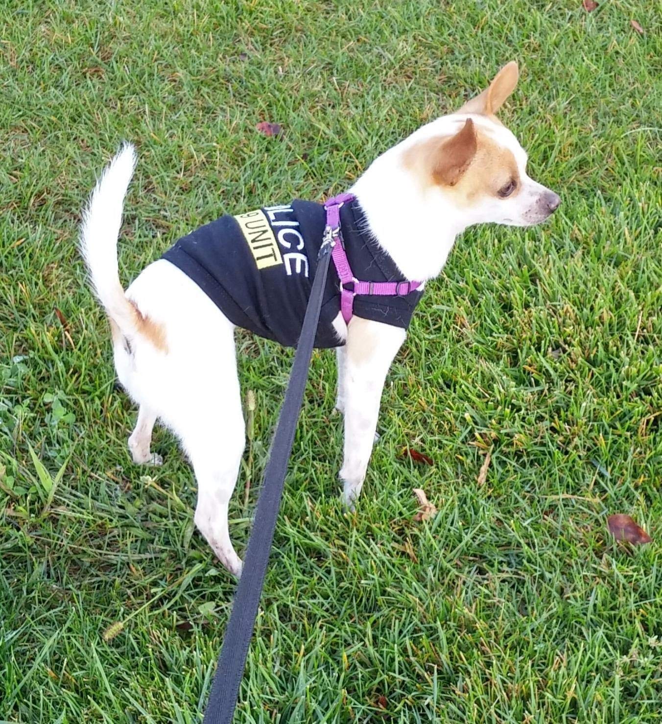 Parisian Pet Police K-9 Unit Dog Outfit  Comfortable Uniform for Small Dogs & Cats, Black