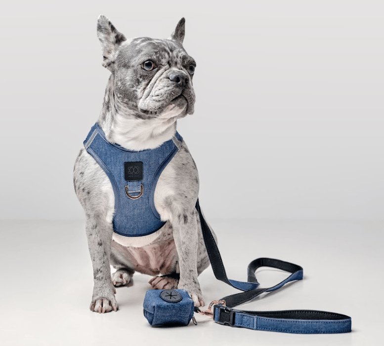 DOGISTRY Dog Waste Bag Holder - Denim