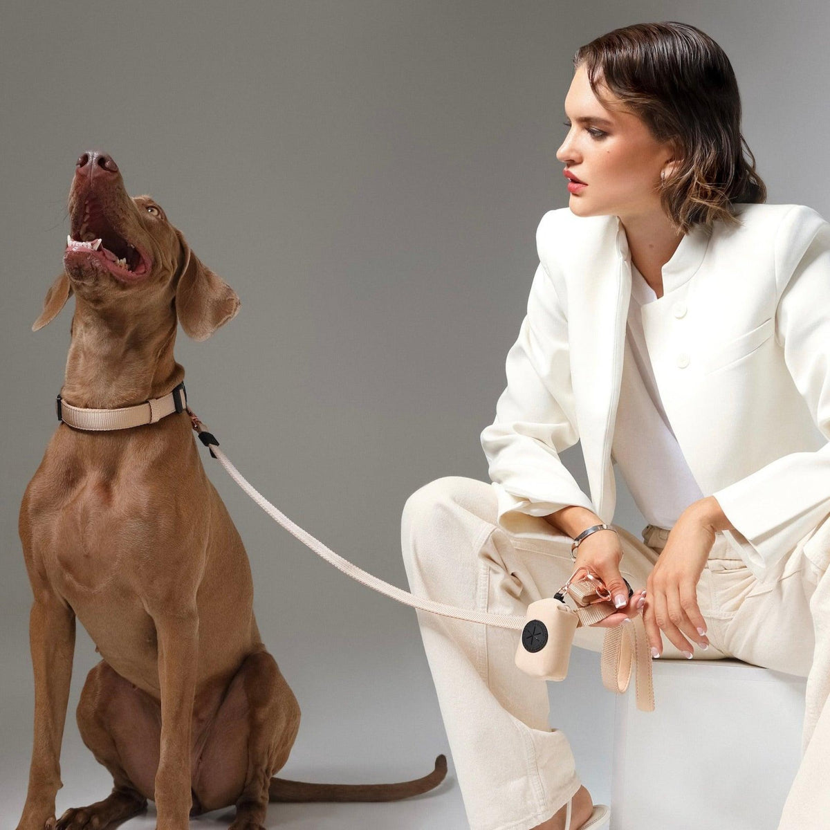 DOGISTRY Dog Waste Bag Holder - Dune