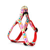 Up Country Pop Hearts Small Breed Dog Harness Made in USA
