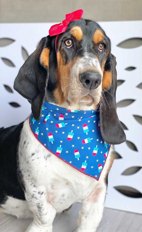 Popsicles Summer Dog Bandana