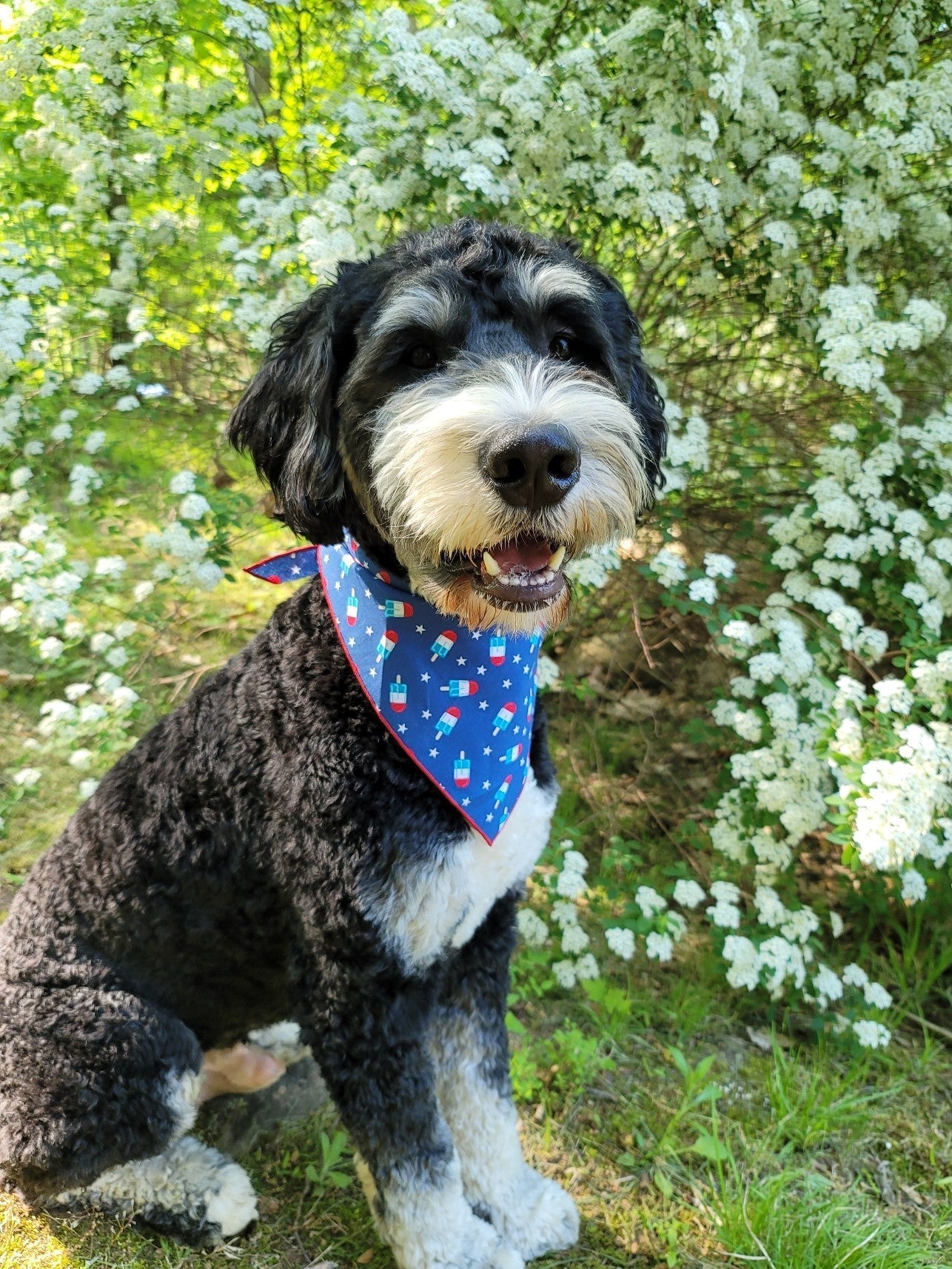 Popsicles Summer Dog Bandana