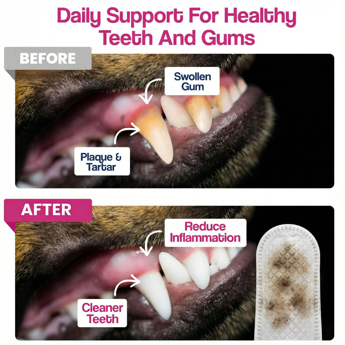 Naturally Formulated Pet Dental Finger Wipes for Teeth Cleaning (50 Count)