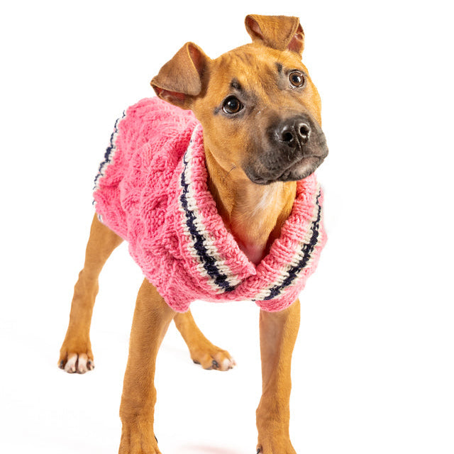 Chilly Dog Preppy Pink Cable Knit Wool Dog Sweater