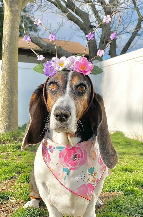 Pretty Rose Dog Bandana