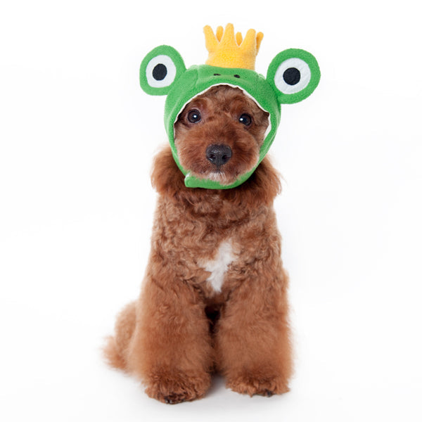 DOGO Frog Dog Costume Hat