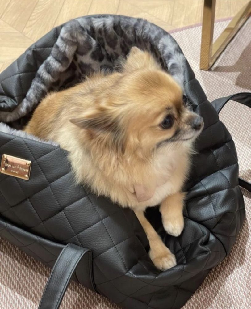 Soft Bed Bag - Black with Grey Leopard