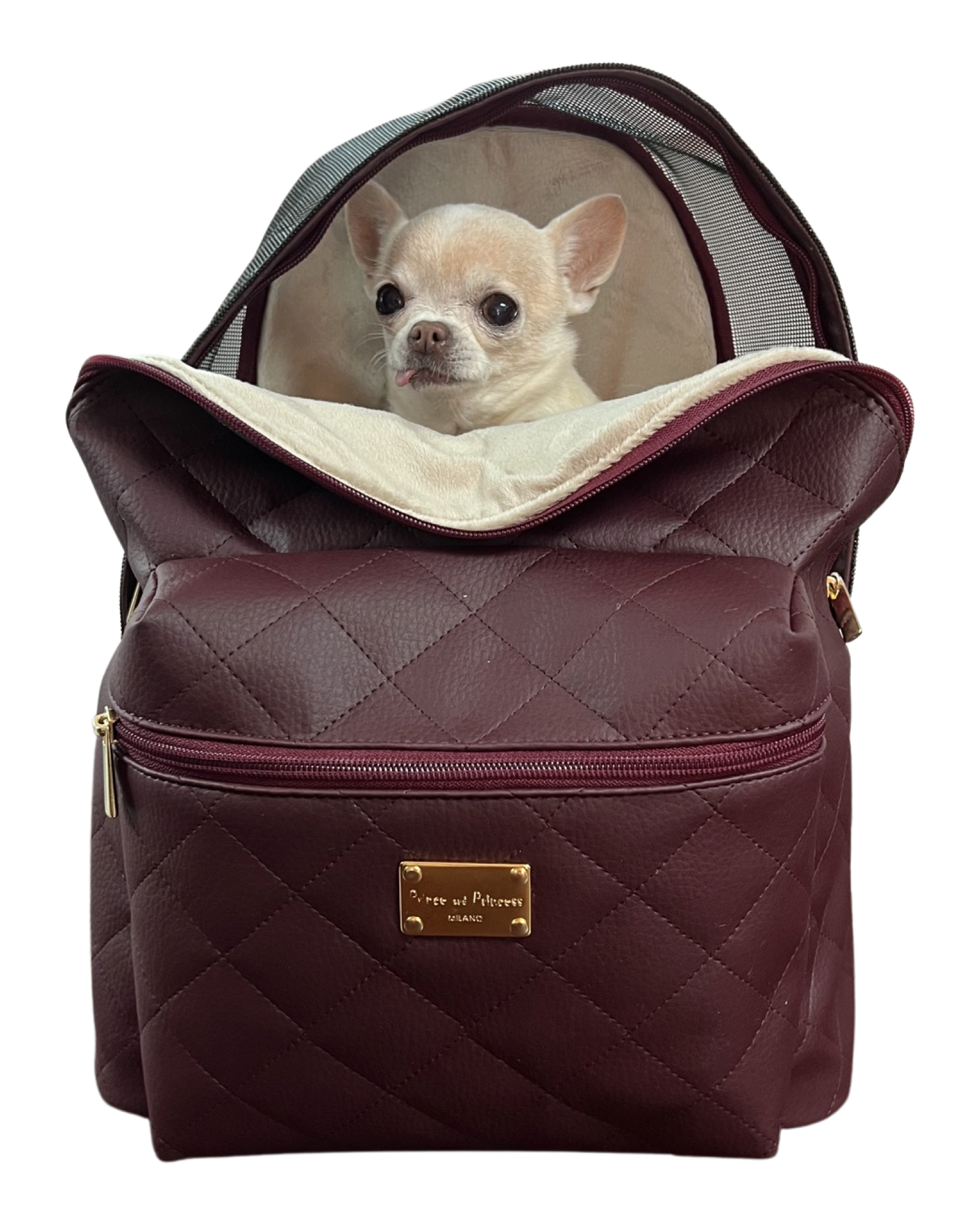 Backpack Dog Carrier - Bordeaux