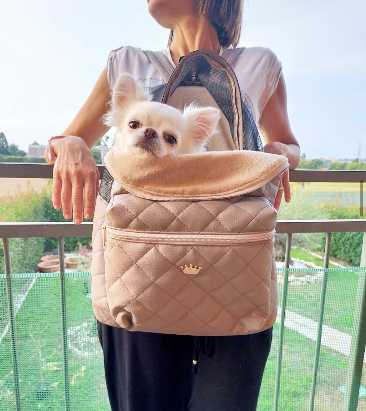 Backpack Dog Carrier - Taupe
