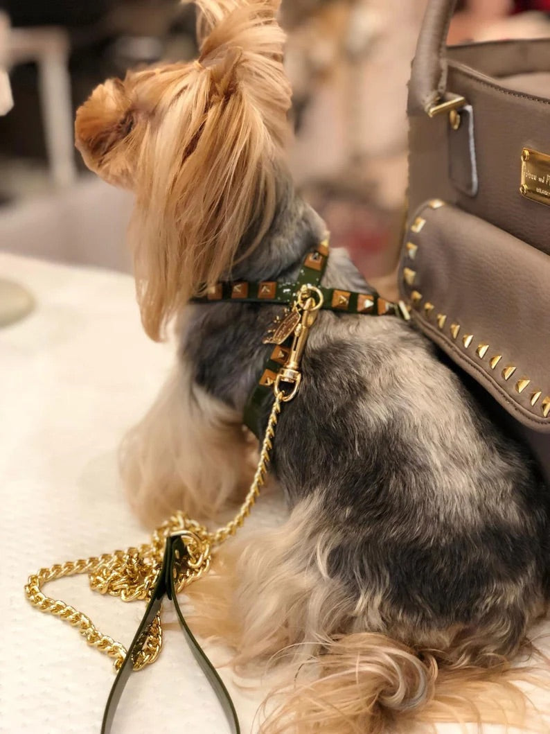 Fashion Dog Harness and Chain Leash Set - Olive Green with Gold Studs