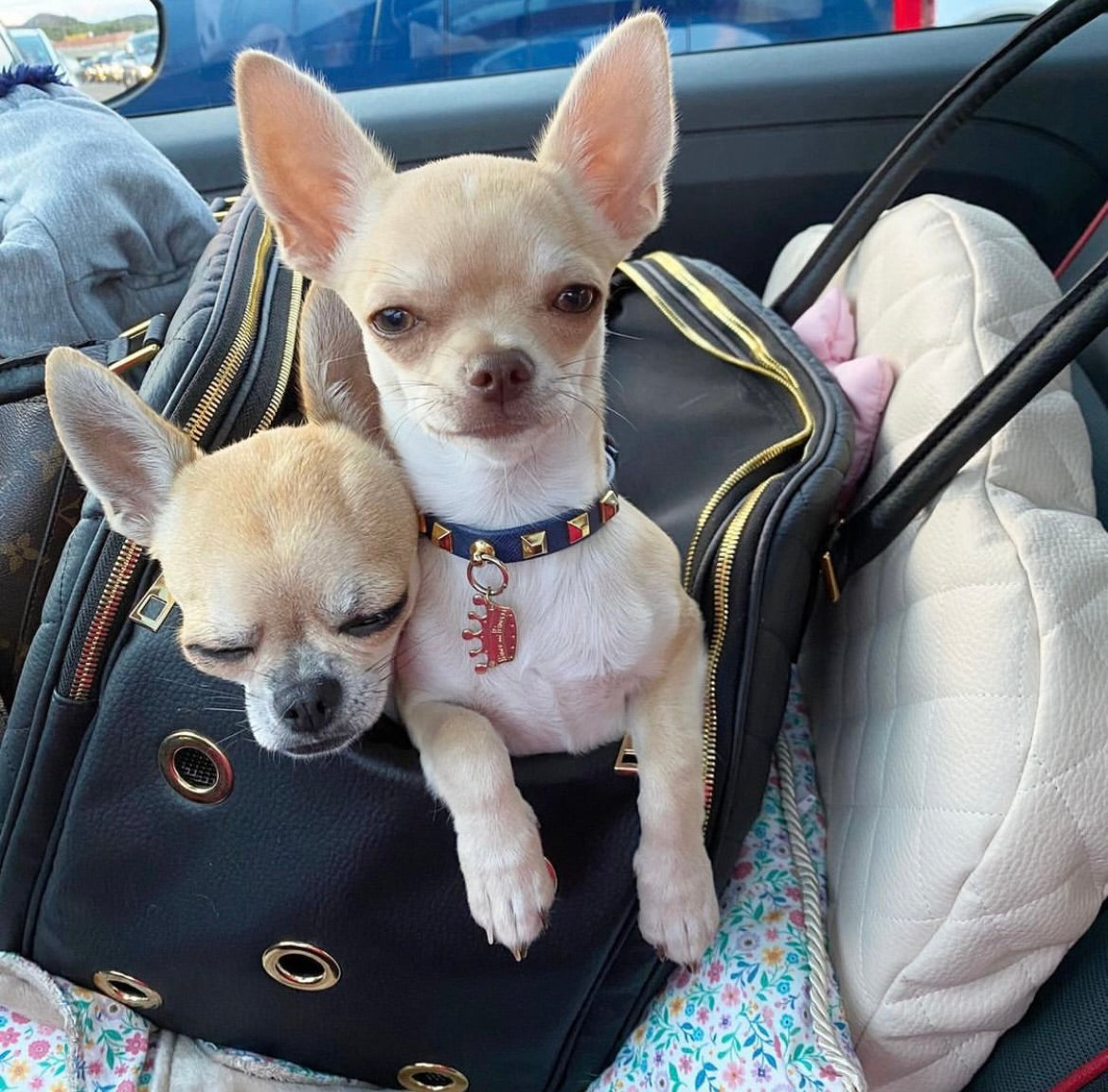 Designer Dog Travel Carrier - Black with Gold Studs