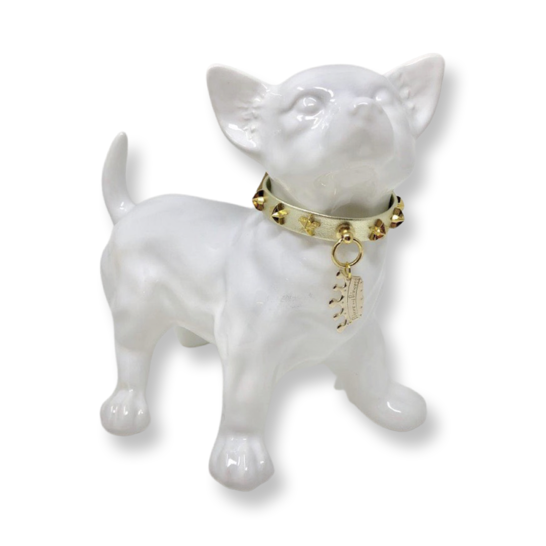 Fashion Collar and Chain Leash Set - Gold with Star Studs