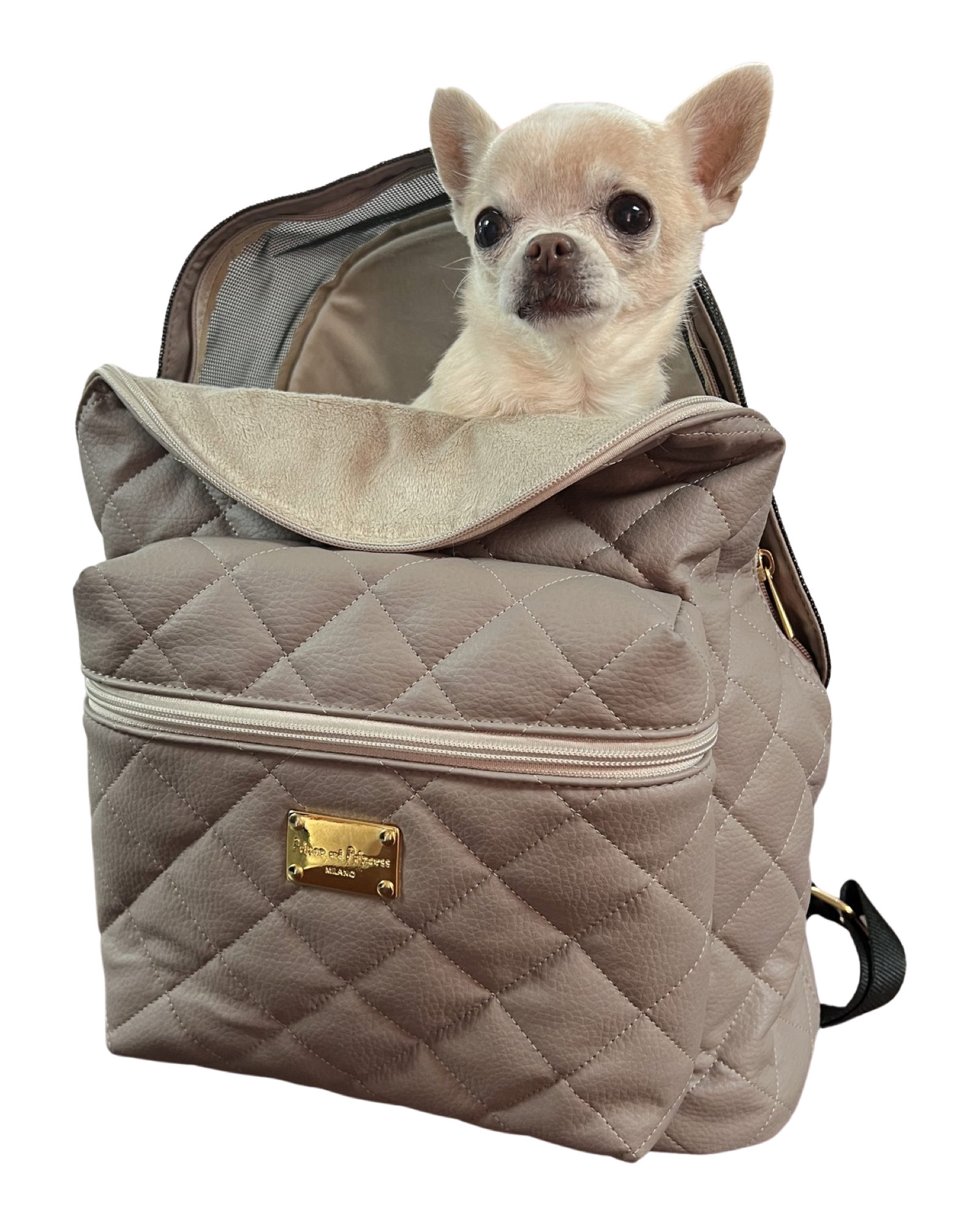 Backpack Dog Carrier - Taupe