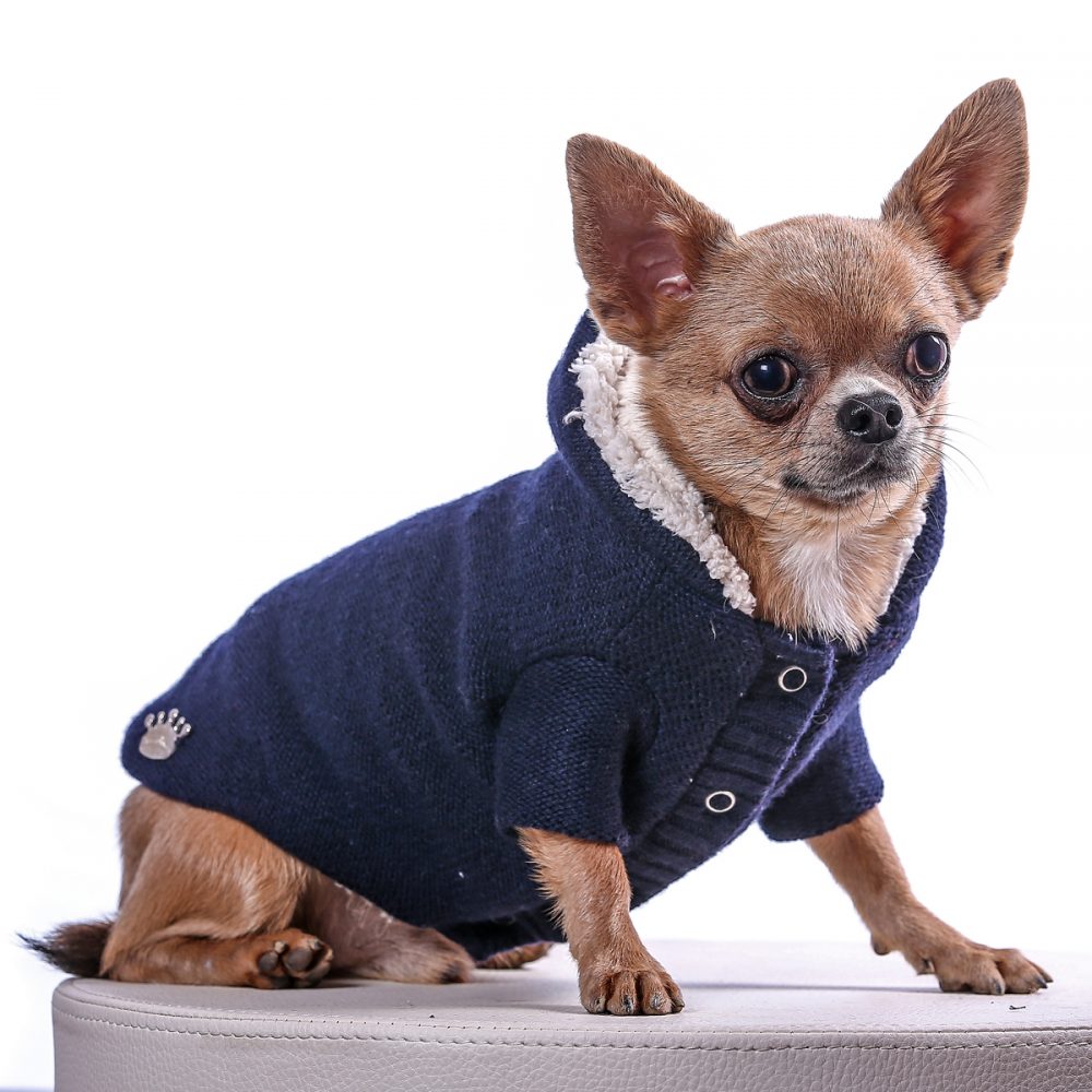 Luxury Coat - Knitwear Blue