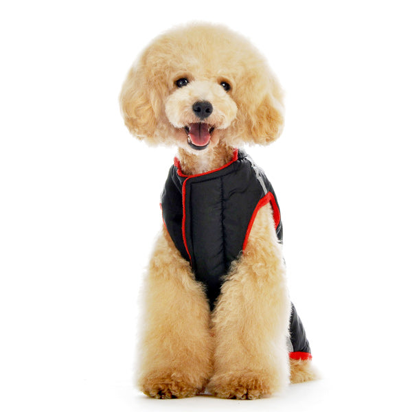 DOGO Dog Puffer Jacket
