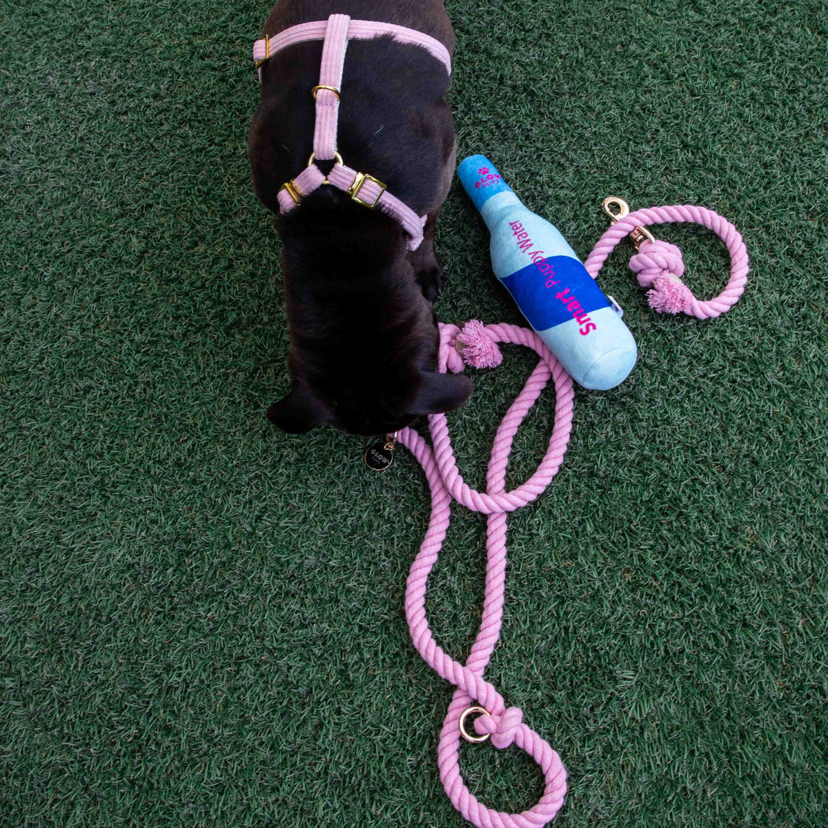 Glow Pups: Light Pink Boho Chic Cotton Rope Dog Leash