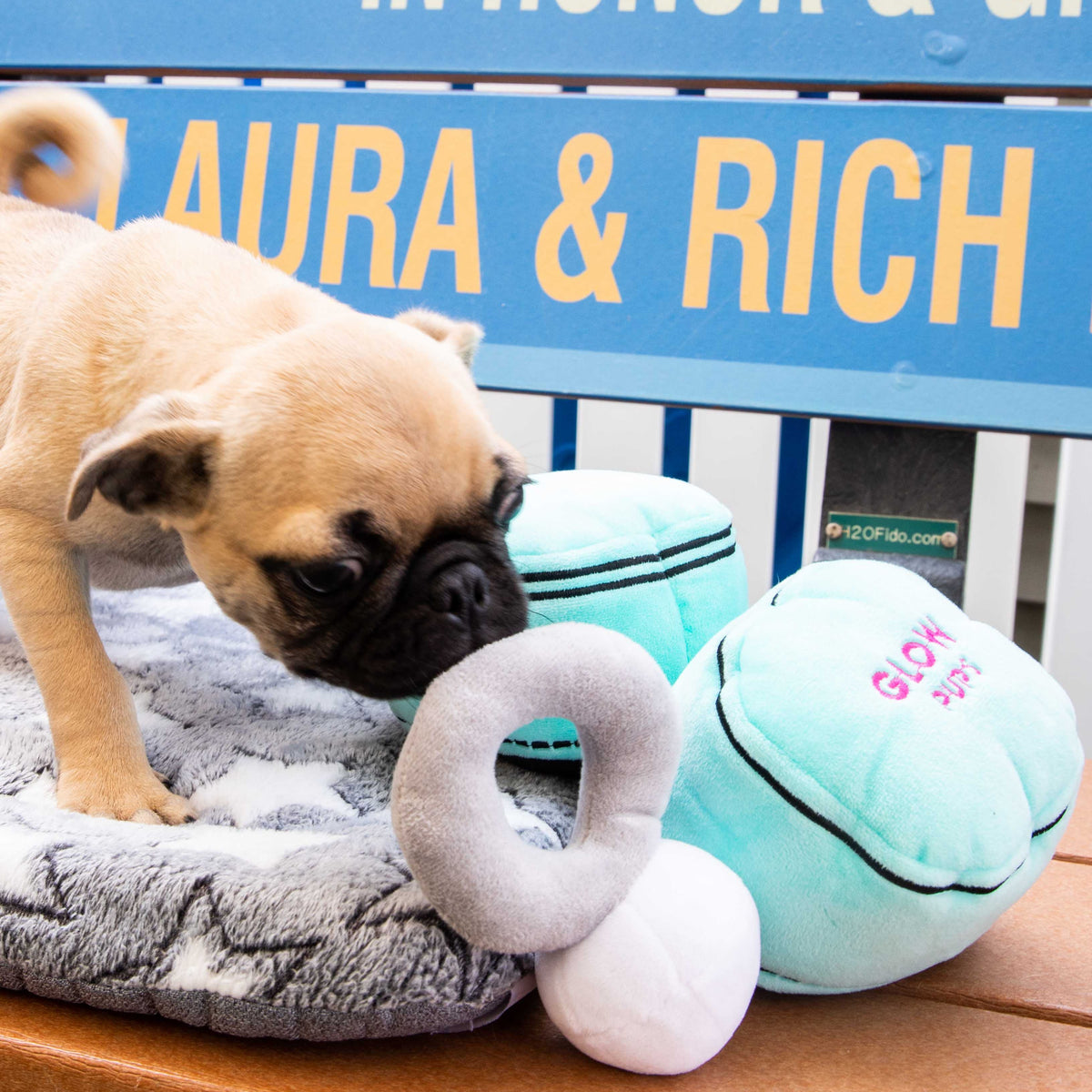 Glow Pups: Engagement Ring Squeaky Plush Dog Toy