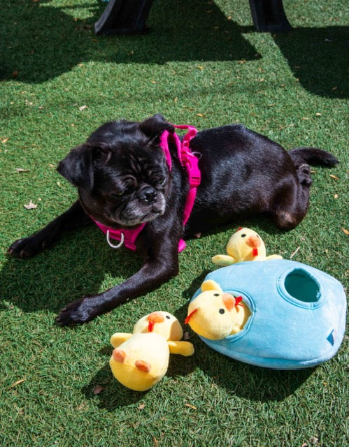 Glow Pups: Chicken in Egg Hide and Seek Plush Dog Toy Set