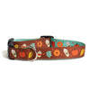 Up Country Pumpkin Spice Printed - Brown Made in USA Dog Collar