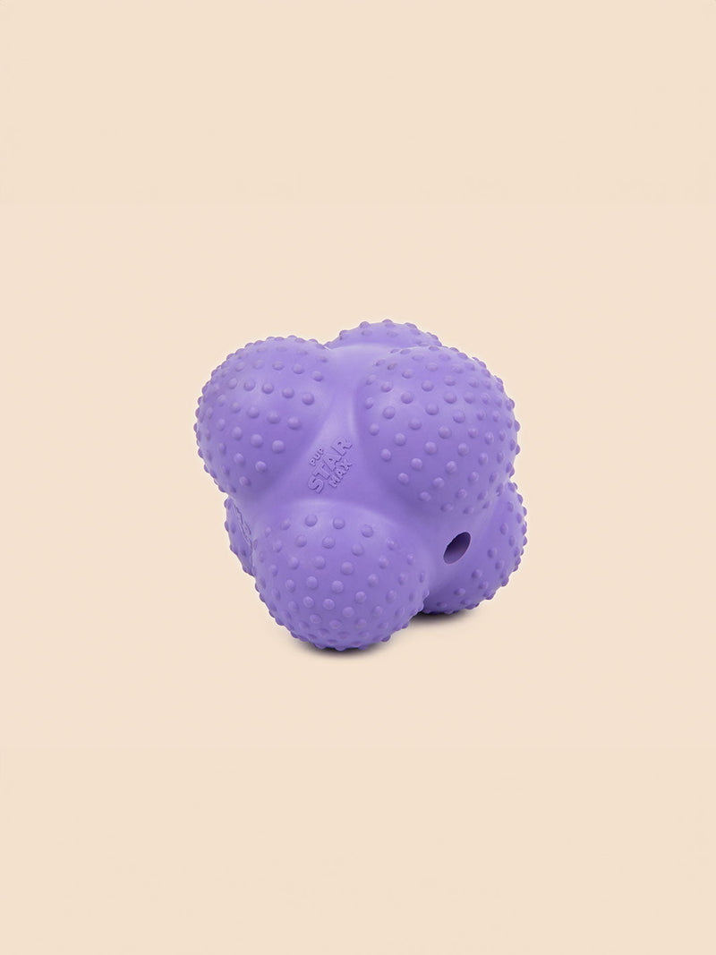 Pup Star MAX Dog Toy