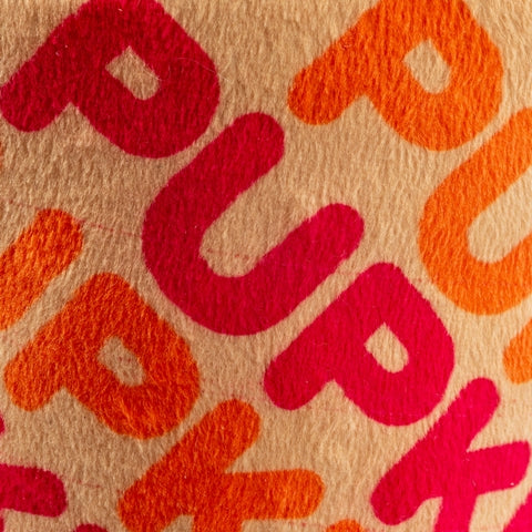 Pupkin Donuts Iced Coffee