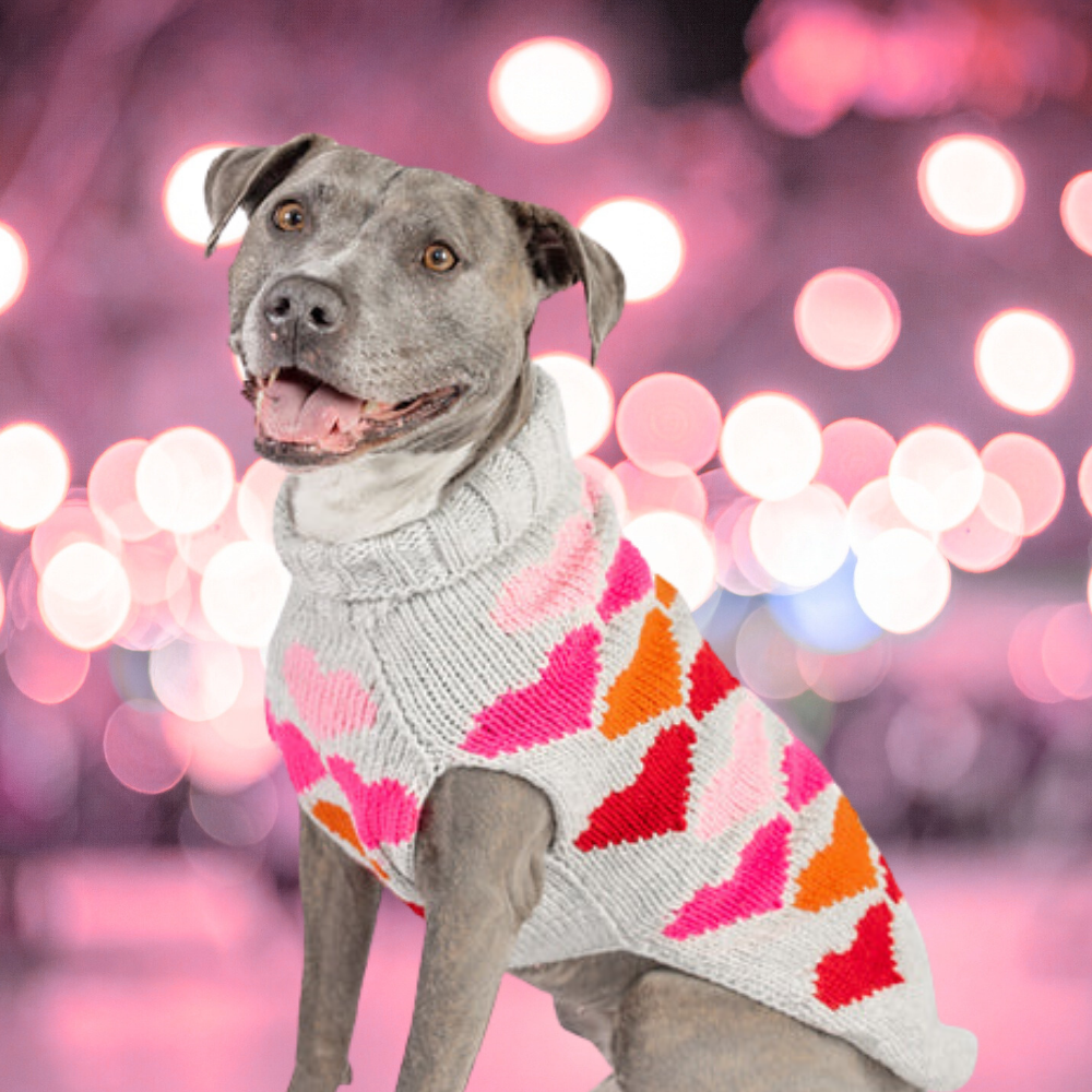 Chilly Dog Puppy Love Knit Wool Dog Sweater
